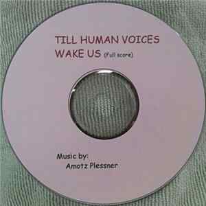 Amotz Plessner - Till Human Voices Wake Us FLAC