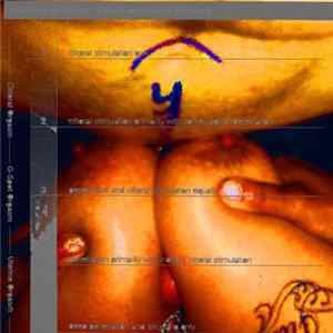 NN - << TO SUKKUBUS SUKKUMB >> FLAC