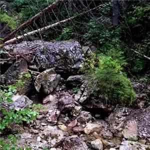 Wanderweg - Pieniny FLAC