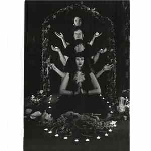 The Shivas - Whiteout FLAC