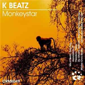 K Beatz - Monkeystar FLAC