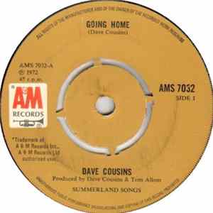 Dave Cousins - Going Home FLAC