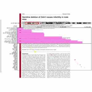 Surrogate Sigma - Lipid Granules FLAC