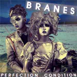 Branes - Perfection Condition FLAC