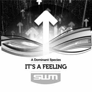 A Dominant Species - It's A Feeling FLAC