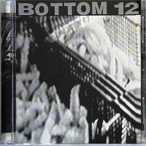 Bottom 12 - Songs For The Disgruntled Postman FLAC