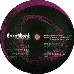 Grievous Angel - Kleer FLAC