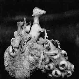 Johan Heltne - Sara, FLAC