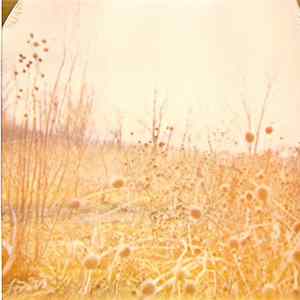RRFFDD - Amorphous FLAC