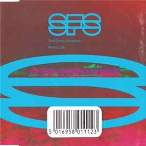 Soul Family Sensation - Perfect Life FLAC