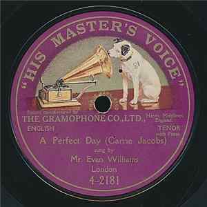 Mr. Evan Williams - A Perfect Day FLAC