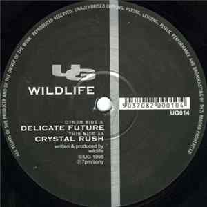 Wildlife - Delicate Future / Crystal Rush FLAC