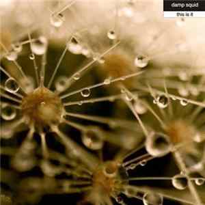 Damp Squid - This Is It FLAC
