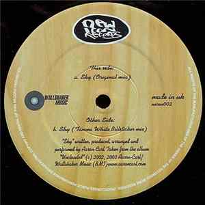 Aaron-Carl - Sky FLAC