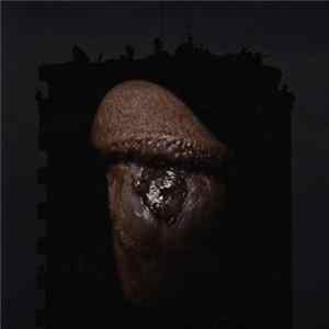 Viranesir - Fountain Of Uncertainty FLAC