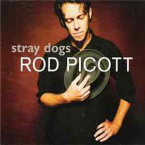 Rod Picott - Stray Dogs FLAC