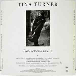 Tina Turner - I Don't Wanna Lose You FLAC
