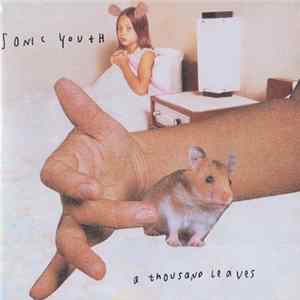 Sonic Youth - A Thousand Leaves FLAC