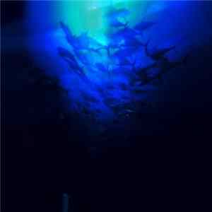 Sleep - Adrift In The Ocean's Currents FLAC