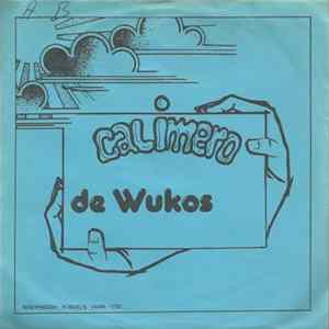 De Wukos - De IJsbeer FLAC