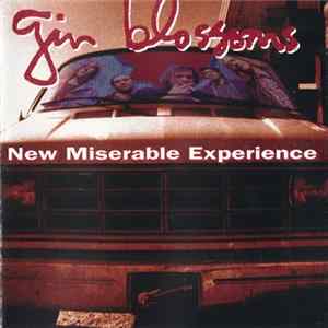 Gin Blossoms - New Miserable Experience FLAC
