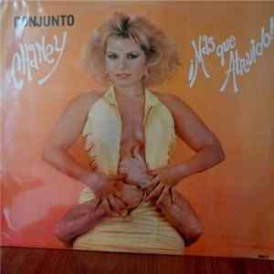 Conjunto Chaney - Mas Que Atrevido FLAC