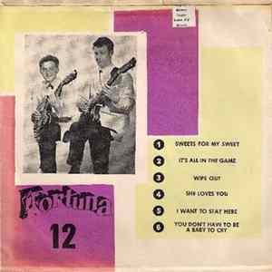 Various - Fortuna 12 FLAC
