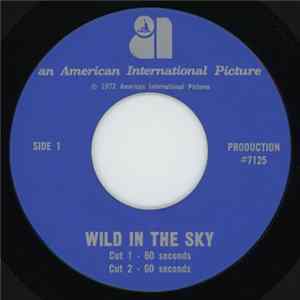 No Artist - Wild In The Sky - Radio Spots FLAC