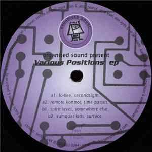 Various - Various Positions EP FLAC