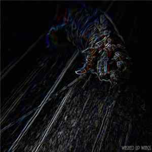 Washed Up Wings - Enigma FLAC