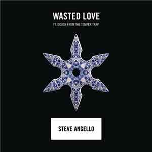 Steve Angello Feat. Dougy - Wasted Love FLAC