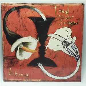 Toad The Wet Sprocket - Dulcinea FLAC