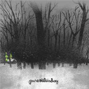 Pure Saturday - Grey FLAC