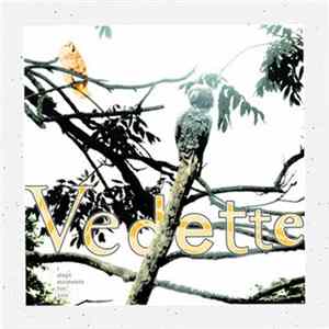 Vedette - I Slept Moments For You FLAC