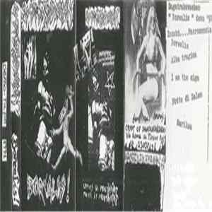 Sagatrakavashen - Borealis FLAC