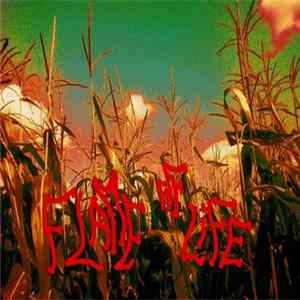 Flame Of Life - Flame Of Life FLAC
