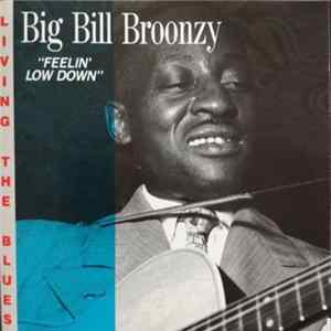 Big Bill Broonzy - Feelin' Low Down FLAC