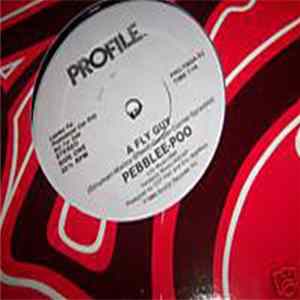 Pebblee-Poo - A Fly Guy FLAC