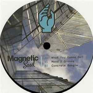 Magnetic Soul - What You Gonna Do? FLAC