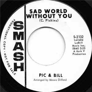 Pic & Bill - Just A Tear FLAC