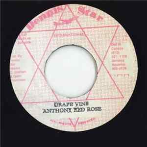 Anthony Red Rose - Grape Vine FLAC