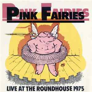 Pink Fairies - Live At The Roundhouse 1975 FLAC
