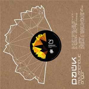 Pauk - Melancholic Anger FLAC
