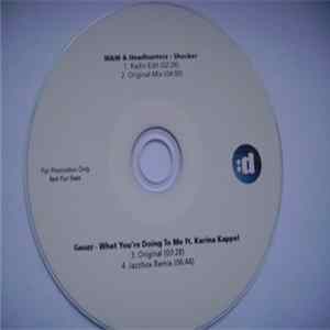 W&W & Headhunterz / Gauzz Ft. Karina Kappel - Shocker / What You're Doing To Me FLAC