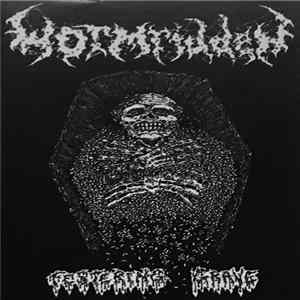Wormridden - Festering Grave FLAC