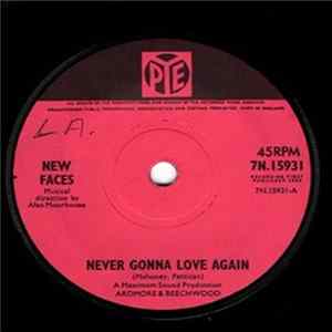 The New Faces - Never Gonna Love Again FLAC