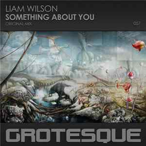 Liam Wilson - Something About You FLAC