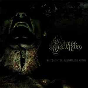 Gross Grolland - What Doesn't Kill Me Makes A Big Mistake FLAC