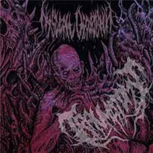 Traumatomy - Promo 2017 FLAC
