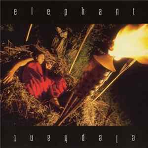 Elephant - You My Pacifier FLAC